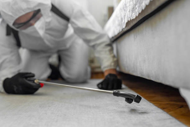 Professional Cockroach Control technician working in Moodus, CT