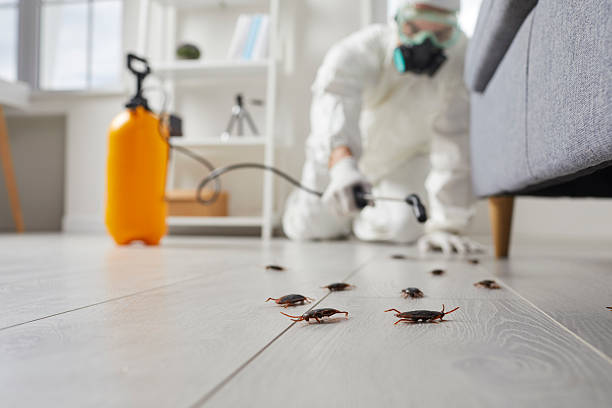 Affordable Cockroach Control solutions in Moodus, CT